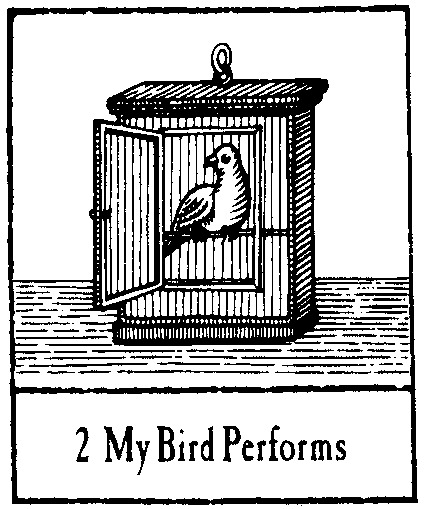 02 My Bird Performs
