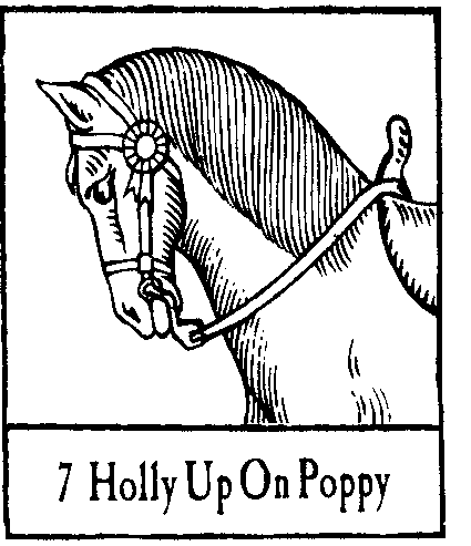 07 Holly Up On Poppy