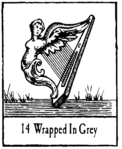 14 Wrapped in Grey